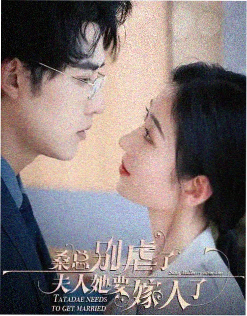 下一站是幸福经典台词